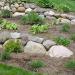 Landscaping Landscaping